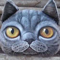 Grand coussin chat 3D gris foncé